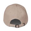 classic dad hat stone back fe jpg